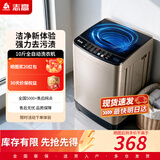 志高（CHIGO）全自动洗衣机 家用小型波轮 洗脱一体机大容量 公寓宿舍出租房 咖啡金 波轮 10斤【蓝光洗护+风干洁桶+强电机】