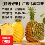 【精选好果】广东徐闻菠萝新鲜水果生鲜香水菠萝金钻百果园特产 【试吃1个装】单果400g+