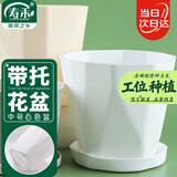 寿禾 花盆带托盘塑料盆家庭园艺花卉种植 木里盆中号-白色*1