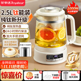 荣事达（Royalstar）养生壶 2.5升大容量纯钛煮茶壶烧水壶家用恒温水壶24H保温炖煮一体 母婴恒温电热水壶  YSH25E(Ti)