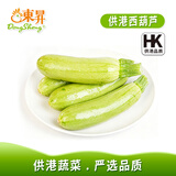 東昇供港西葫芦500g 云南小瓜 茭瓜白瓜角瓜 广州新鲜配送