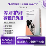 LANBOTO朗博特 宠物护肝片猫咪狗狗养肝腹水肝脏受损炎症保健用品32片