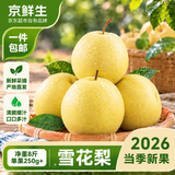 京鲜生河北卢龙雪花梨 净重8斤装 单果250g+ 新鲜水果源头直发