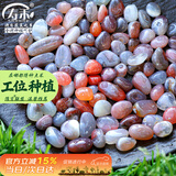 寿禾 雨花石鹅卵石鱼缸造景玛瑙盆栽铺面装饰 0.8-1.5cm灰红雨花石1kg