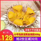 小平岛（xiaopingdao）【活鲜】黄海胆鲜活即食1斤小平岛大连海鲜海胆新鲜水产刺身 黄海胆500g(5个左右)