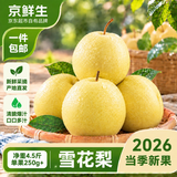 京鲜生河北卢龙雪花梨 净重5斤装 单果250g+ 新鲜水果源头直发
