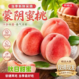 京地达山东蒙阴金秋红蜜 净重3斤 单果150g起 桃子应季水果蜜桃源头直发