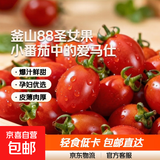 釜山88玲珑果小番茄樱桃圣女果小柿子孕妇水果西红柿新鲜包邮爆汁 山东带箱3斤 2.8斤 净重