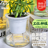 寿禾 懒人盆自吸盆双层透明室内桌面植物盆 透明懒人盆x2个装