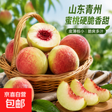 【东东农场专供】山东青州蜜桃露天水蜜桃新鲜水果桃子整箱 带箱2斤中果 净重1.7斤（单果70g+）