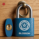 梅花（BLOSSOM）挂锁抽屉锁工具箱学生宿舍柜子锁电表箱锁小锁BC2925蓝25MM