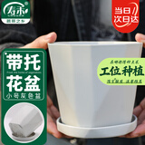 寿禾 花盆家庭园艺盆栽绿萝多肉发财树种植盆 木里盆小号-浅灰