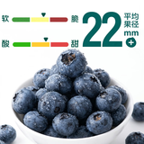 云南高山巨无霸蓝莓125g 22mm