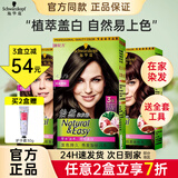 施华蔻（Schwarzkopf）怡然染发剂染发膏植物配方遮盖白发无氨温和染发霜男女通用在家染 4.1亚麻褐棕【时尚冷棕】