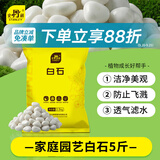 史丹利白石子水培石子天然铺面石白色鹅卵石原石庭院石头造景花盆 5斤