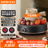 苏泊尔（SUPOR）迷你电陶炉 煮茶器煮茶炉煮茶壶 养生围炉煮茶泡茶办公家用不挑器具SW-DTL05