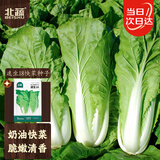 北蔬快菜种子苗速生奶油小白菜秋冬菜籽 速生18小白菜种子10g约3800粒