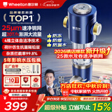 惠尔顿前置过滤器20T大通量过滤25微米反冲洗家用全屋净水器 实时自动清洗刮洗自来水防爆过滤器P0038pro 自行安装【20T-升级25微米精滤】