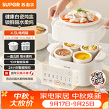 苏泊尔（SUPOR）电炖锅 炖汤盅 电炖盅隔水炖家用全自动煲汤炖汤锅陶瓷燕窝炖盅4.5L蒸炖一体多功能锅 DZ25FC873