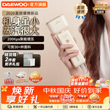 大宇（DAEWOO）【26年热卖新品 】卡片挂烫机熨烫机旅行差旅家用小型蒸汽熨斗便携式平烫熨衣服HI035 【品牌爆款 卡片挂烫机】白