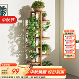 安尔雅 松木花架子花盆碳化室内外客厅阳台多肉植物简约置物架花摆架8层