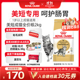 皇家猫粮 美短成猫粮 ASA31 通用粮 12月以上 2KG