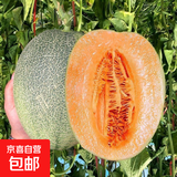 【京东物流】现摘现发头茬哈蜜瓜软糯香甜黄河沙漠蜜瓜 民勤蜜瓜净重（8斤-9斤）