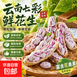 云南新鲜七彩花生带壳鲜花生高原特产水果花生富含花青素牛奶花生 新鲜七彩花生2斤 含箱