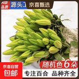 A级百合鲜花云南昆明基地直发混搭七夕节礼物家居摆件供佛 随机特价百合6朵（不指定品种，颜色）