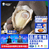 贝司令鲜活生蚝乳山生态牡蛎XL 净重4斤 16-22只 源头直发生鲜送礼