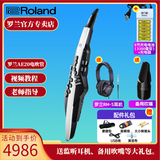 罗兰AE20电吹管AE-30旗舰款吹管电子萨克斯管乐AE10升级款 AE20+吹嘴+充电电池套装+耳机礼包