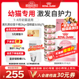 皇家猫粮 离乳期幼猫粮干湿套装BK34 2KG+幼猫湿粮罐头BMC 88g*6