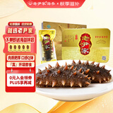 老尹家即食海参水袋冷藏速食7年秋季滋补礼品送父母礼物80g/只礼盒 即食海参 80g /只 15只
