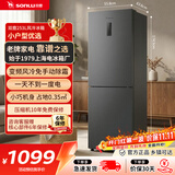 双鹿（SONLU）253L两门家用小户型冰箱一级能效风冷无霜低噪省电占地小不串味 BBE263PWS以旧换新