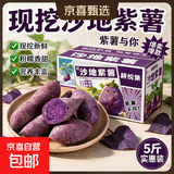 现挖沙地蜜薯红薯新鲜农家糖心番薯烤地瓜软糯批发黄心包邮 正宗紫罗兰紫薯5斤（单果3两+） 彩箱 净重