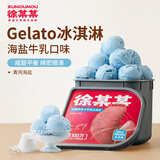 徐某某家庭装冰淇淋 海盐牛乳口味1.6kg 雪糕冷饮桶装意式gelato