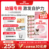 皇家猫粮 离乳期幼猫粮干湿套装BK34 2KG+幼猫湿粮罐头BMC 88g*6