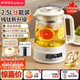 荣事达（Royalstar）养生壶 2.5升大容量纯钛煮茶壶烧水壶家用恒温水壶24H保温炖煮一体 母婴恒温电热水壶  YSH25E(Ti)