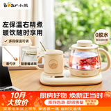小熊（Bear）迷你养生壶 办公室烧水壶电水壶煮茶壶 保温杯垫多功能花茶壶煮水壶0.8升 YSH-D08D3