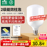 雷士（NVC）LED灯泡球泡节能E27螺口家用商用大功率光源工矿灯40瓦白光6000K