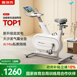 麦瑞克（MERACH）动感单车自发电家用智能调阻运动健身器材室内静音自行车 绝影ONE 自发电-10KG飞轮组-白色