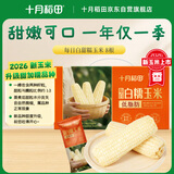十月稻田 【新玉米·品种升级】白甜糯玉米 8根 3.52斤 东北杂粮 粗粮礼盒