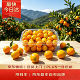 京鲜生 云南油皮金桔【儿时味道】 净重1斤 单果15g起 生鲜水果