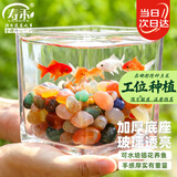 寿禾 玻璃瓶水培植物桌面盆栽加厚透明插花瓶 12*12cm方形水培玻璃瓶