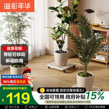 溢彩年华花架客厅阳台置物架多层花盆架方形植物多肉盆栽移动花托架5316