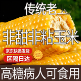 老玉米笨玉米 糖尿病人专用玉米棒传统普通玉米有嚼劲老式代餐 老玉米5斤（8-10）根
