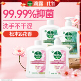 滴露（Dettol）滋润洗手液500g+500补充装+松木500g+500补充装