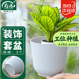 寿禾花盆套盆储水防漏水无托盘塑料盆 浅灰花纹装饰盆(底部无孔)3个装