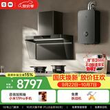 米家小米抽吸油烟机净烟机P2以旧换新上门安装家用欧式大吸力天然气【热水器燃气灶套装】MJ06CY