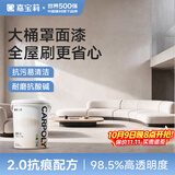 嘉宝莉罩面漆艺术漆室内墙面乳胶漆保护防水透明水性哑光罩面油漆5kg